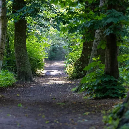 Liegeplatz Ferienhaus