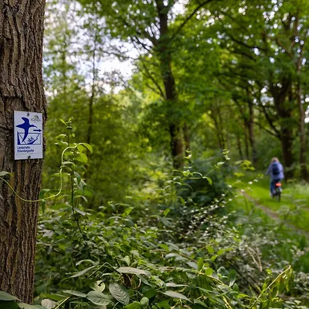 Σπίτι διακοπών Liegeplatz